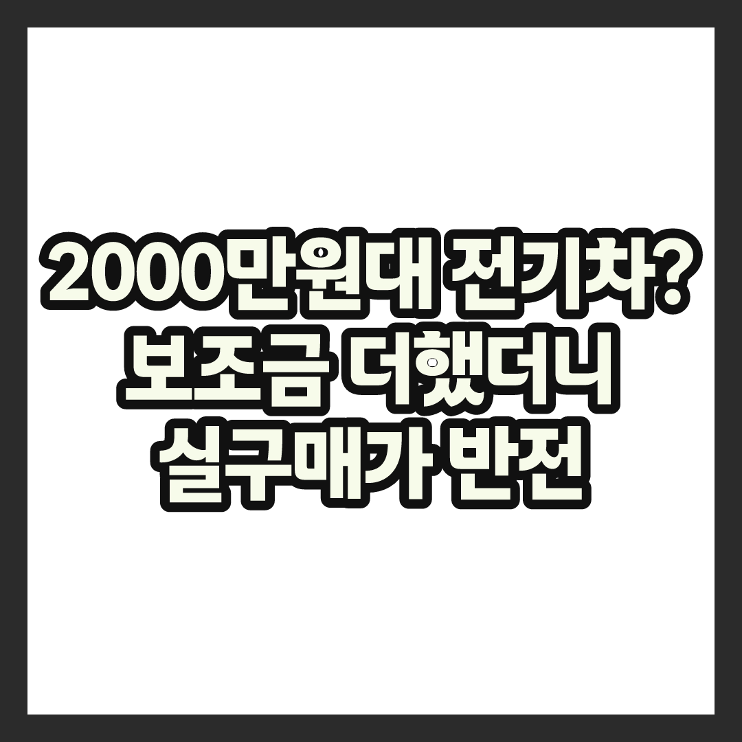 2000만원대 전기차라던데, 보조금 더하니 실구매가 결국 이랬다