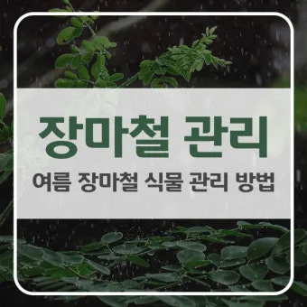 여름 고온기 관리 차광망 환기 관수 병해 예방 루틴_10