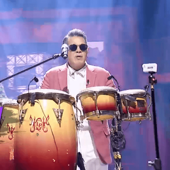 사랑과 평화 장미