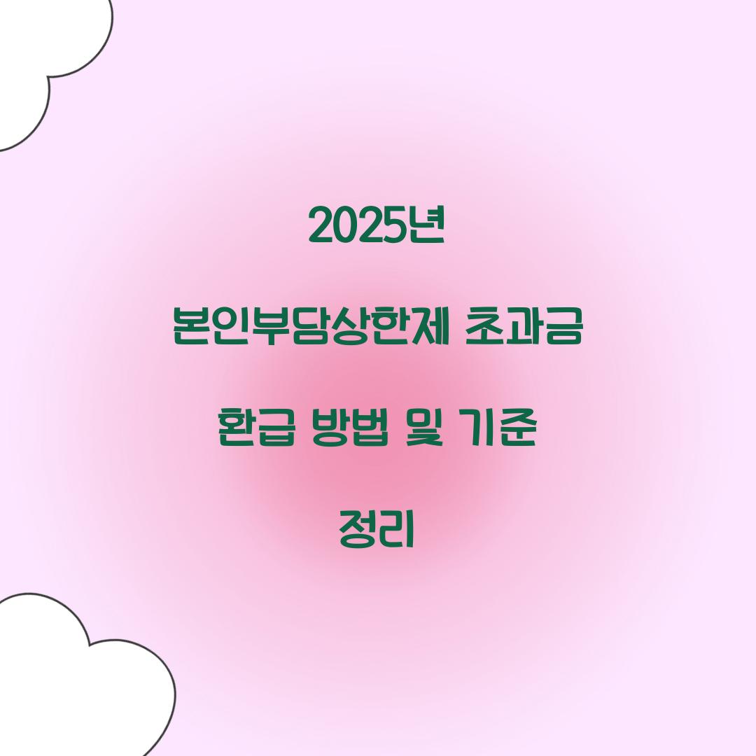 2025년 본인부담상한제 초과금 환급