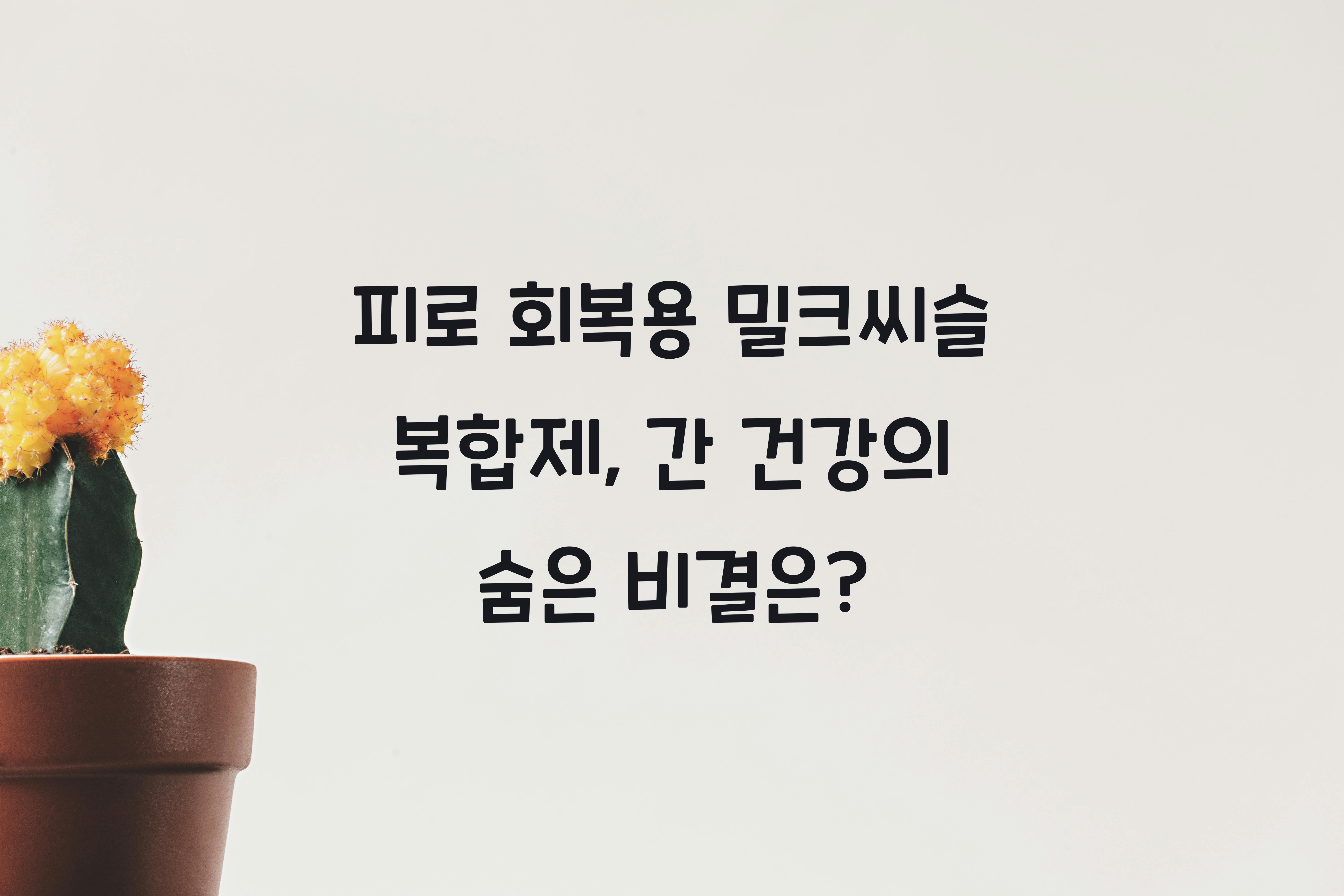 피로 회복용 밀크씨슬 복합제