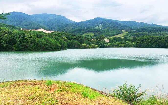 2025/2026 무주덕유산리조트 스키장 시즌권 렌탈 할인 완벽 가이드