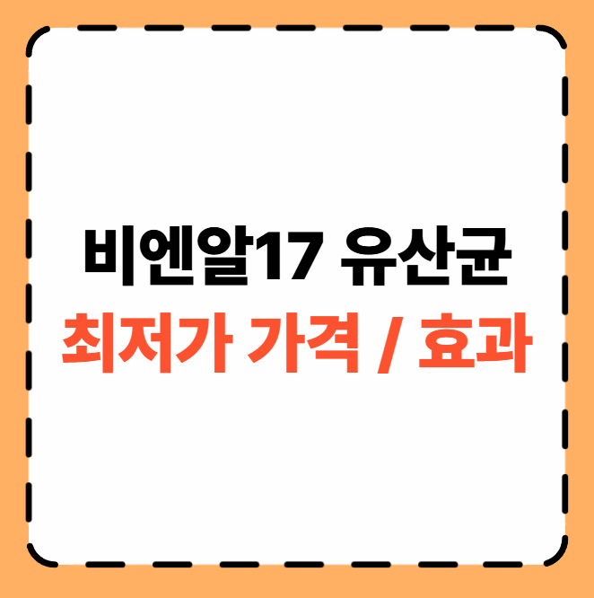 비엔알17-유산균-가격-효과
