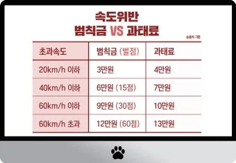 범칙금과 과태료의 차이한눈에 비교하기로_35
