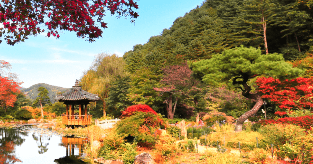 2025 전국 마라톤일정 총정리! 상반기부터 해외까지 한눈에