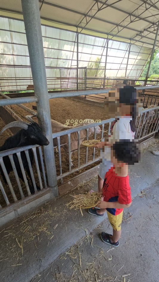 아그로랜드 건초주기