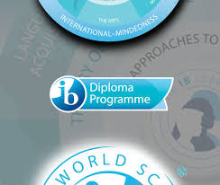 IB vs AP 이것만 알면 선택 끝 관련사진