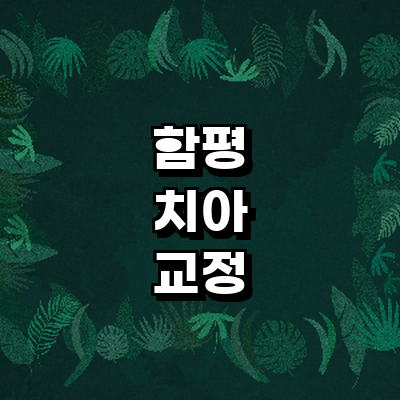 함평군 교정 치과