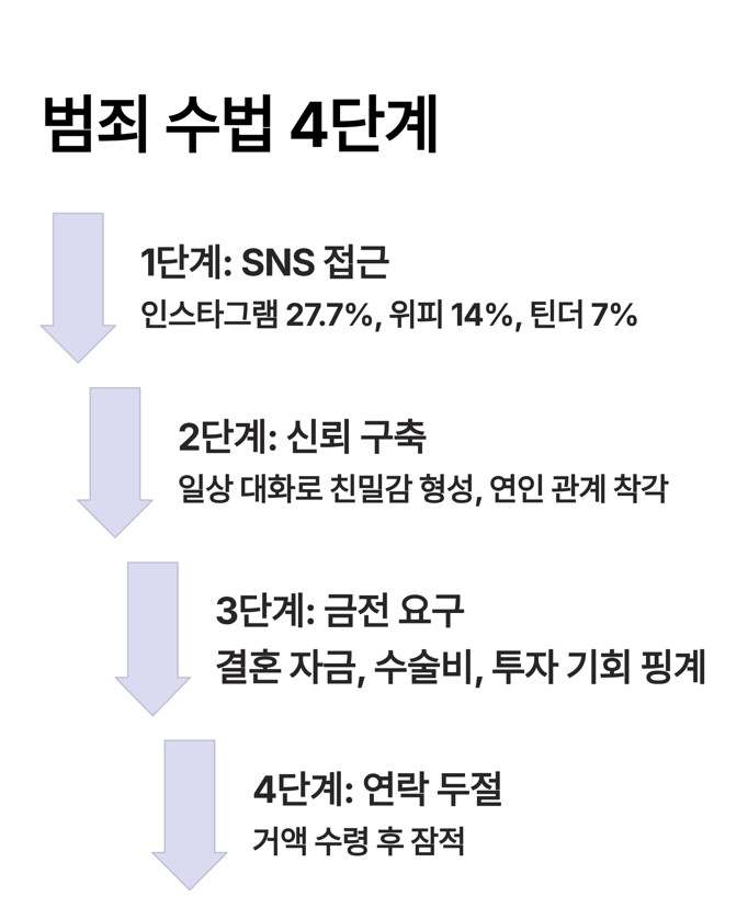 범죄 수법 및 진화 양상