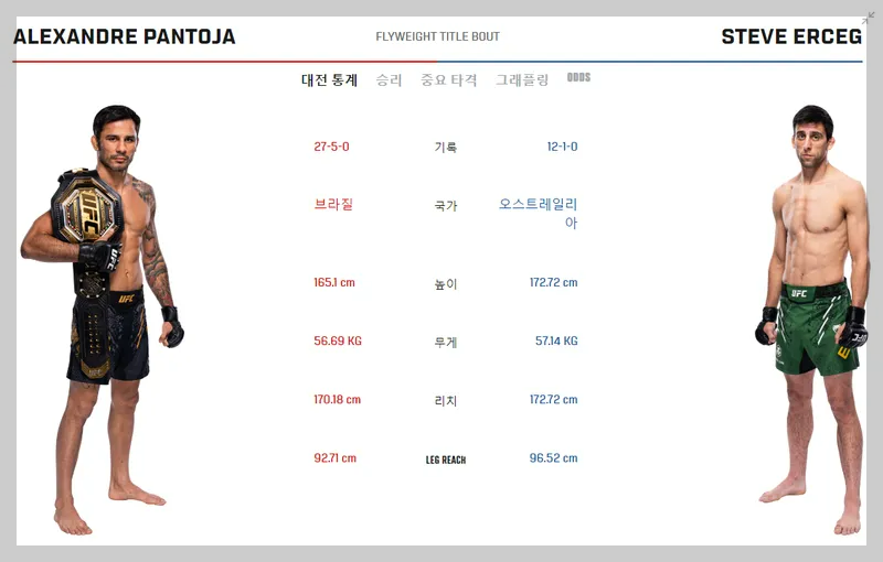 UFC 301 메인 이벤트