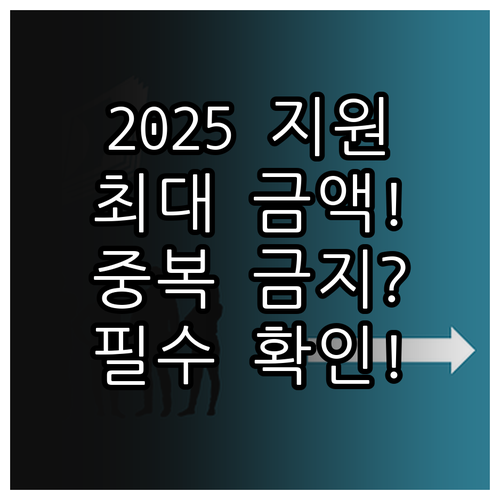2025 유아학비 지원금 최대 혜택 ..