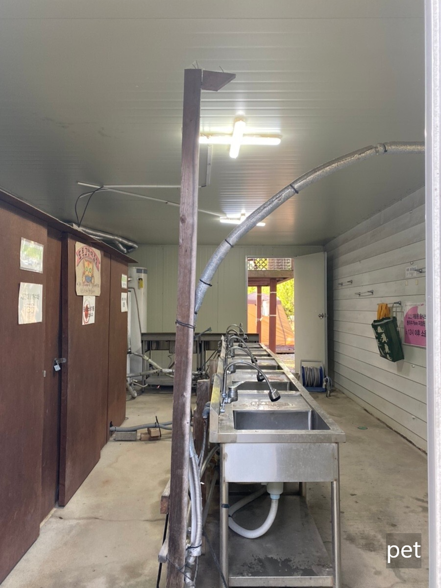 경기-파주-느티나무-그늘아래-캠핑장-예약-방법-애견-동반-가격-주소-시간-후기