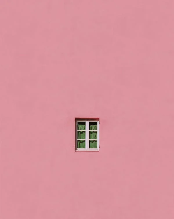 광장공포증-폐쇄성