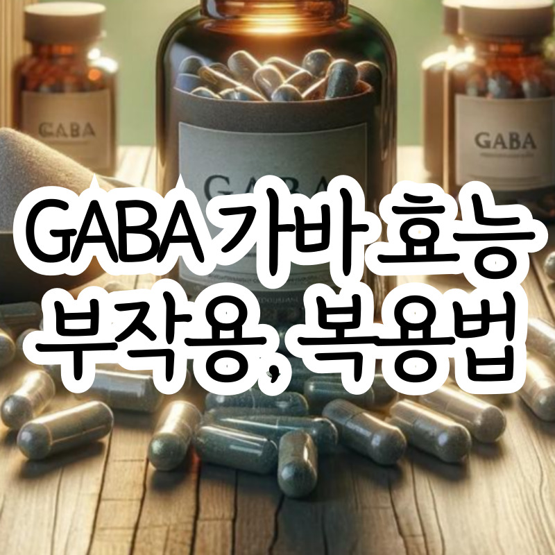가바 효능 부작용 GABA 영양제 복용법