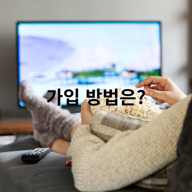 배민클럽 티빙 100원 보는 법