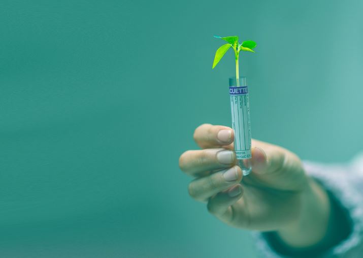 AI 기반 스마트팜 (농업의 미래) 관련 사진