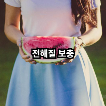 전해질 보충