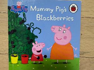 Peppa Pig Picture Books series