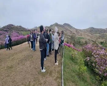 황매산 철쭉축제_18