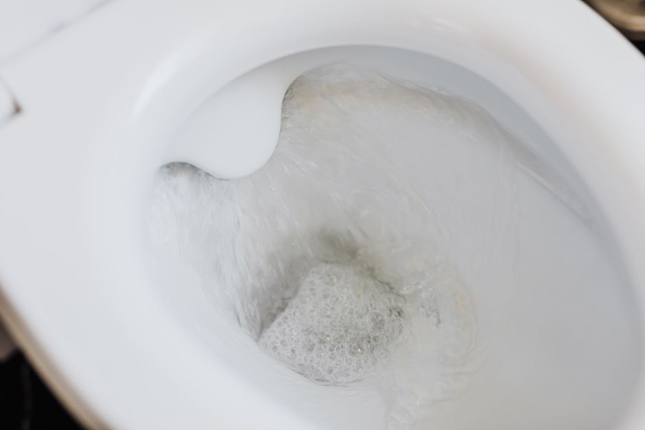 하얀 변기
