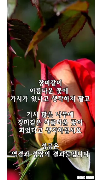 1월 인사말 모음 예시 메일_13