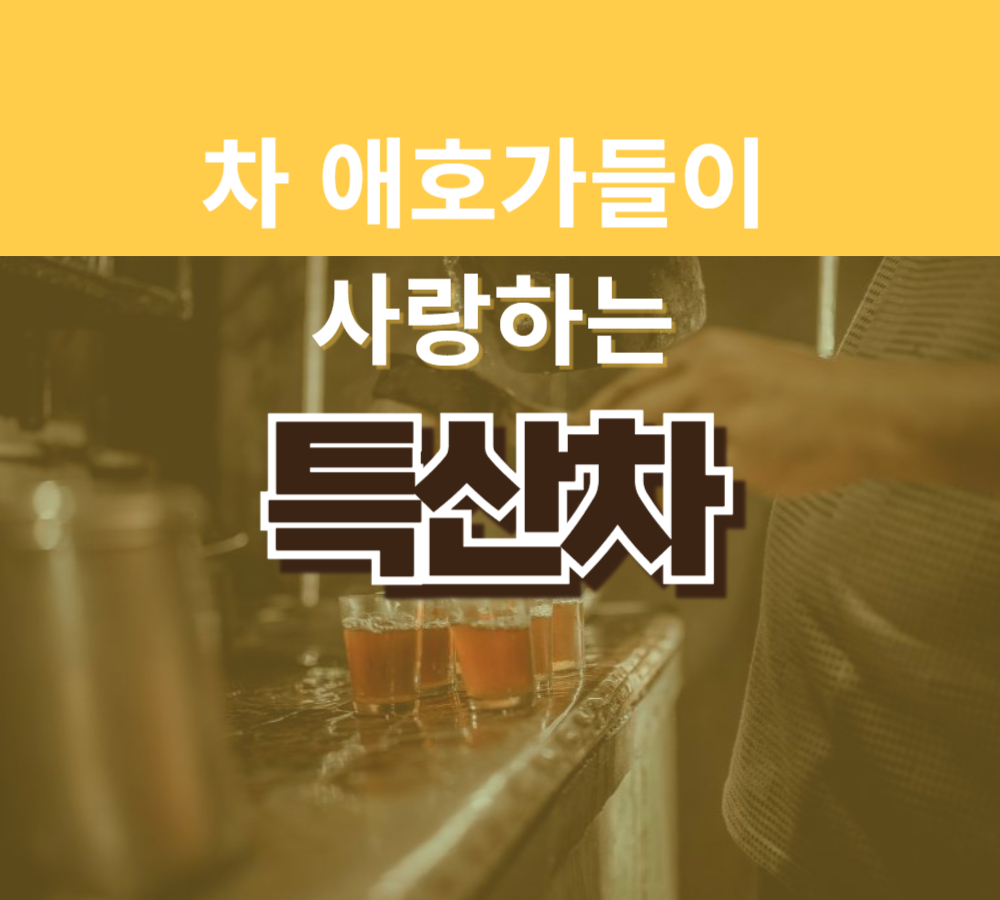 차애호가들이 사랑하는 특산차