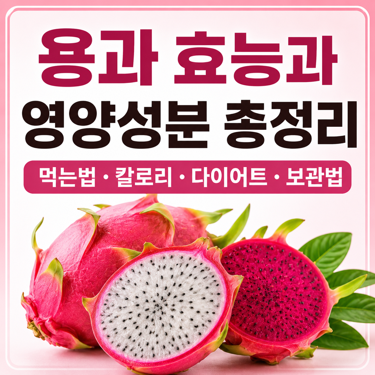 용과 효능