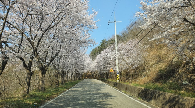 국립자연휴양림