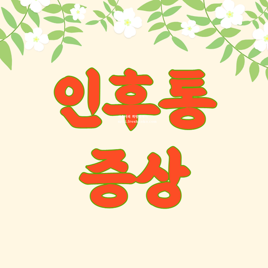 인후통 증상