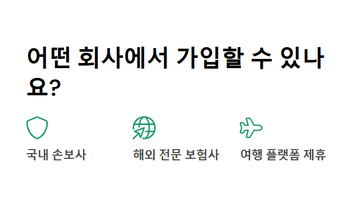 장기 여행자 보험 장기 체류자만을 위한 맞춤형 보장과 가입 요령