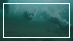 아라문의 검 8회 줄거리 리뷰: 하늘 아래 최강의 생물