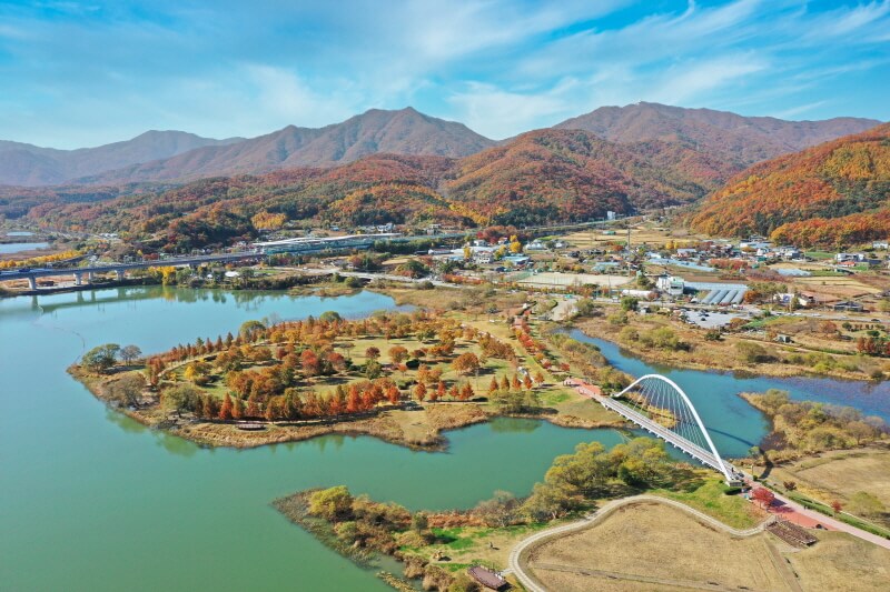 남양주 물의정원 꽃양귀비