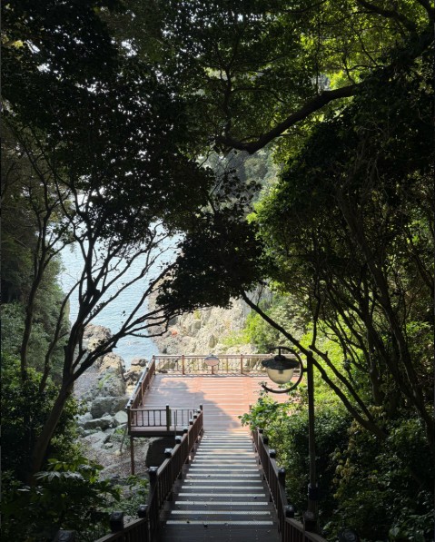 여수 오동도 이미지