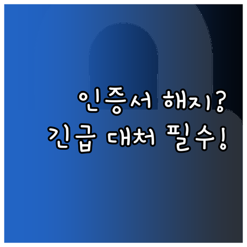 카카오 인증서 발급 해지 및 긴급 상..