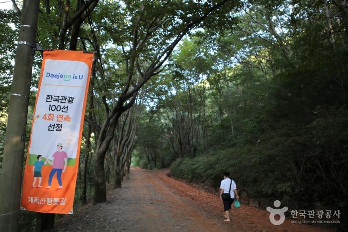 대전근교 주말나들이 계족산 황톳길