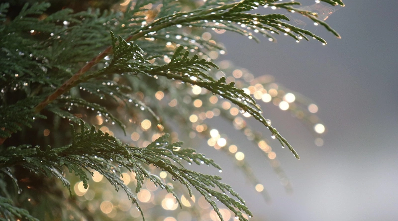 공장 자동화 설비 시공비용 결정 요소