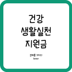 건강생활실천지원금