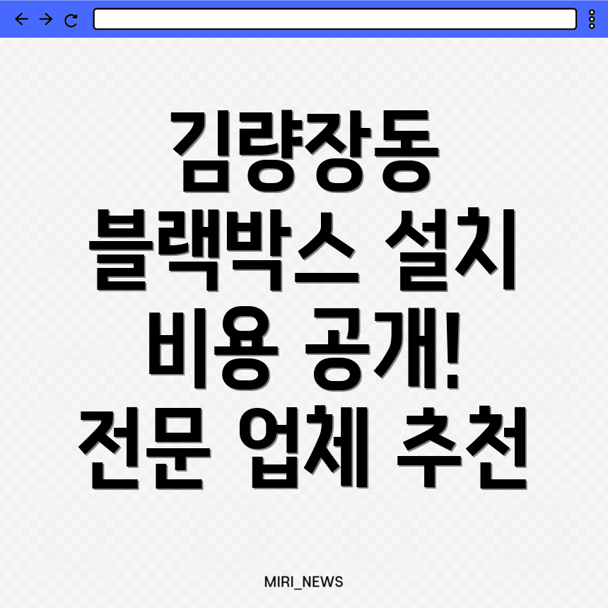 블랙박스 설치 비용