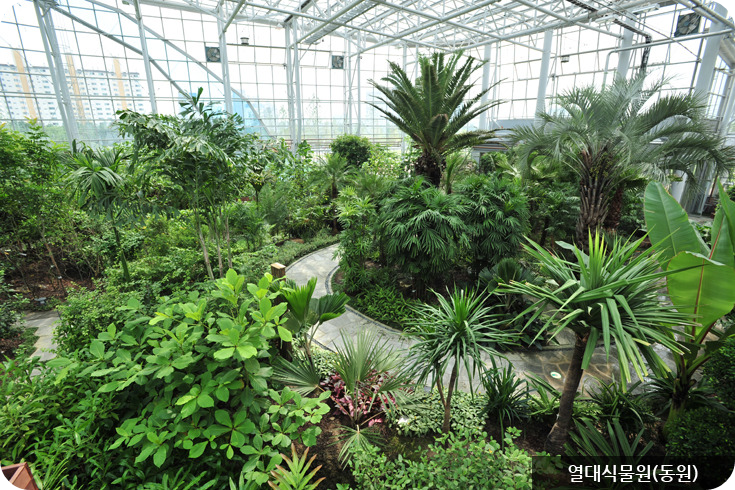 한밭수목원 열대식물원(동원)이미지/출처: 한밭수목원 홈페이지