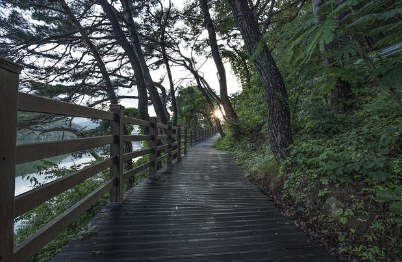 아이폰보다 산책: 젊은 세대가 찾는 ‘느린 삶’의 매력