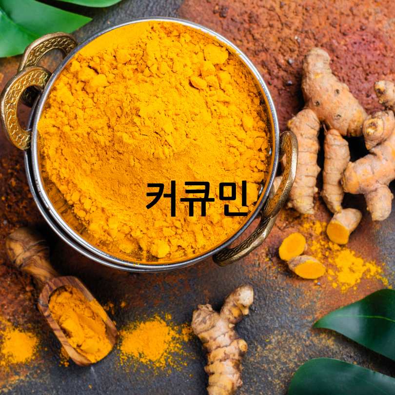 노인 영양제 추천