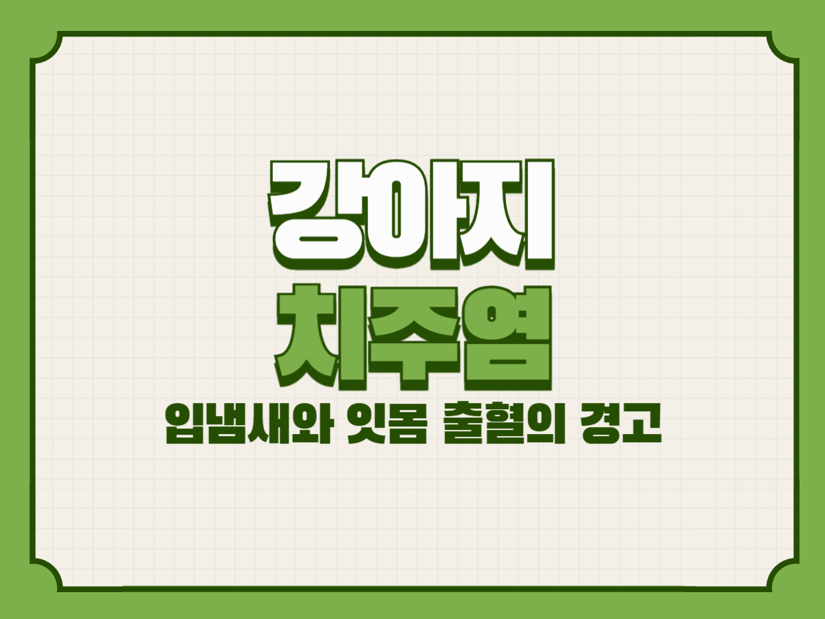 강아지 치주염 &ndash; 입냄새와 잇몸 출혈의 경고