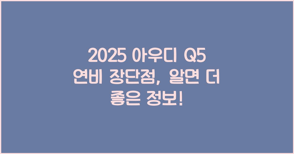 2025 아우디 Q5 연비 장단점