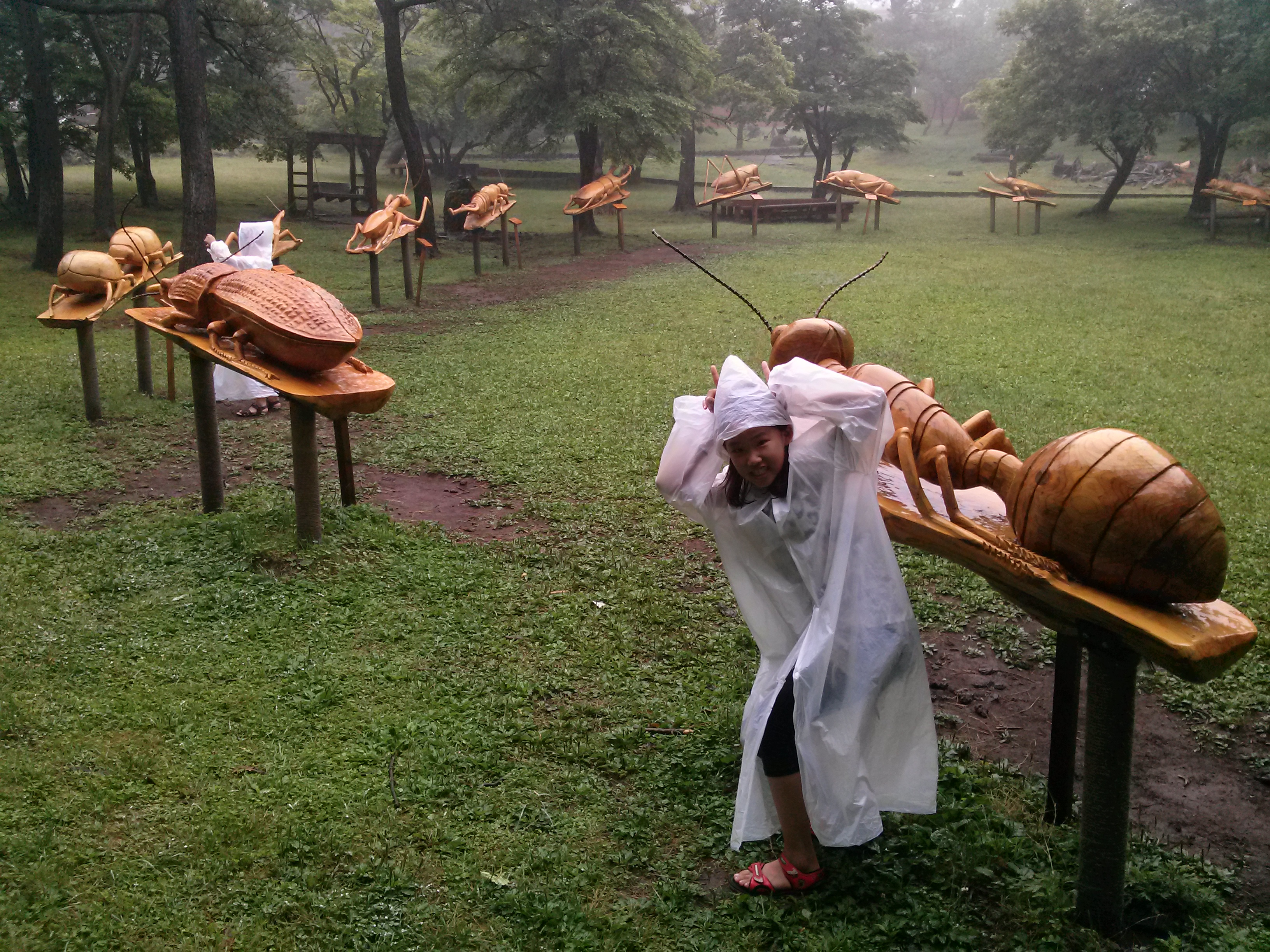 절물자연휴양림(Jeju Jeolmul Recreational Forest)