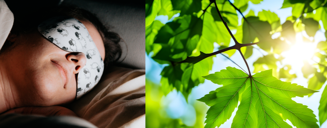 충분한 수면과 햇빛 노출로 봄철 우울감을 예방하는 생활습관