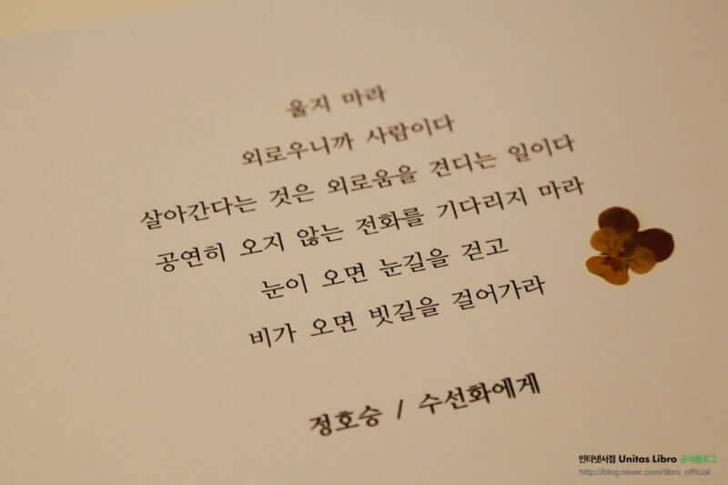 감성적인 시 감상이 스트레스 완화에 기여하는 방식