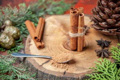 계피의 기본적인 특징과 활용 개요1