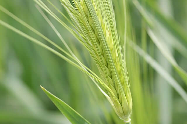 농업경영체 등록방법, 혜택, 신청서류 완벽 가이드