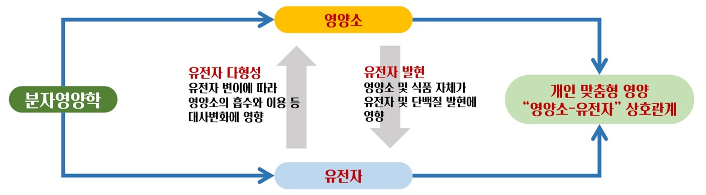 종합비타민