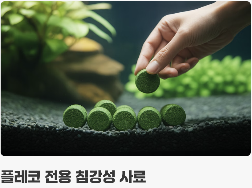 먹이 - '채식' 위주의 건강한 식단